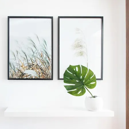Butterfly Apartment